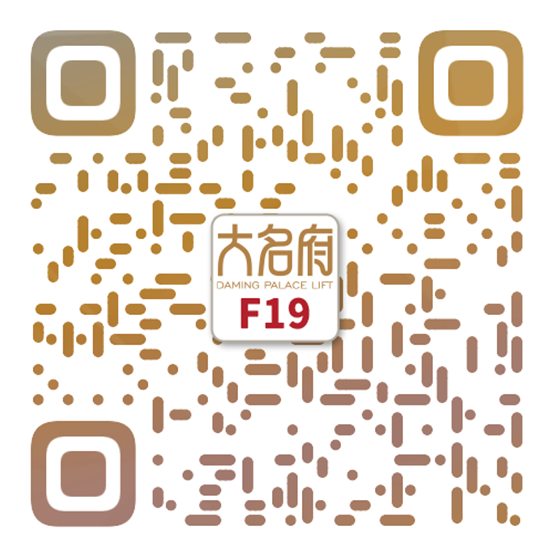简约风别墅电梯F19