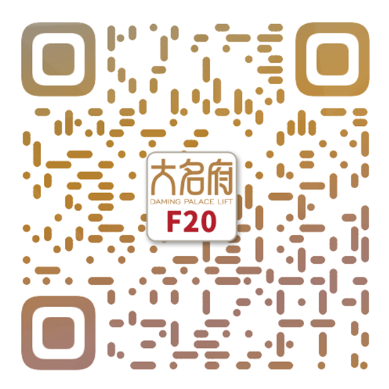 简约风别墅电梯F20