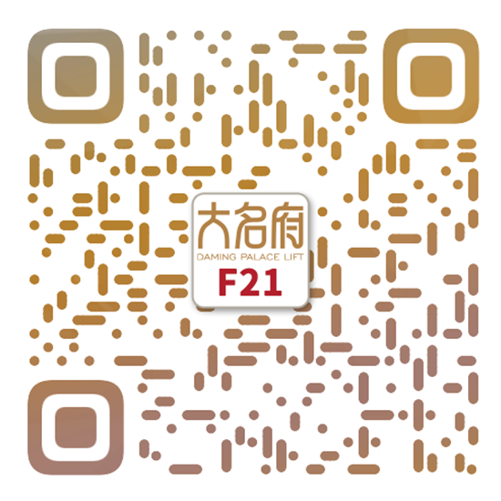 简约风别墅电梯F21