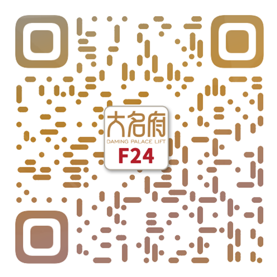 简约风别墅电梯F24