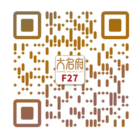 简约风别墅电梯F27