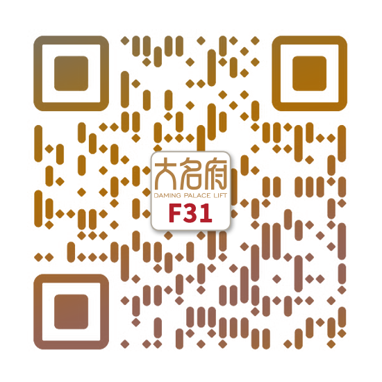 简约风别墅电梯F31